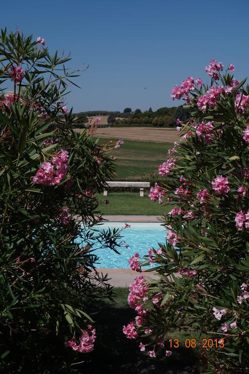 Villa La Lodola Foiano Della Chiana Zewnętrze zdjęcie
