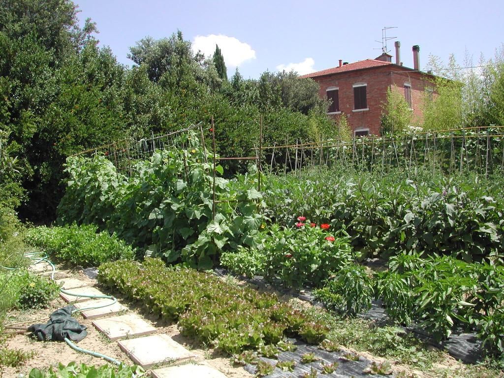 Villa La Lodola Foiano Della Chiana Zewnętrze zdjęcie
